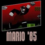 Mario 85 Run