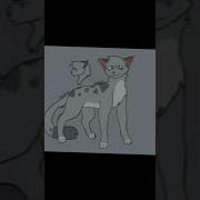 Уголёк Коты Воители