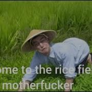 Welcome To The Rice Fields