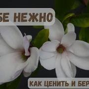 К Себе Нежно Аудиокнига Полная Версия