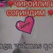 Фарух Хамраев Сен Согиндим Сен Согиндим