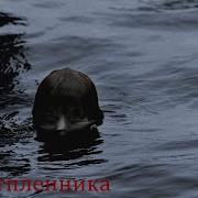 Смех Бэна Утопленника