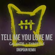 Galantis Throttle Tell Me You Love Me Dropgun Remix