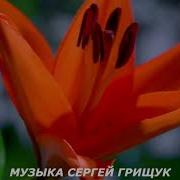 Ещё Не Поздно Сергей Грищук