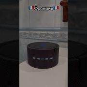 Яндекс Алиса Меме
