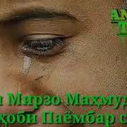 Бехтарин Киса Кори Мирзо Махмудчон