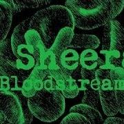 Bloodstream