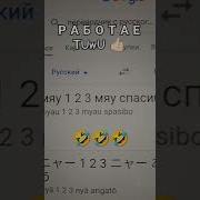 Мяу 1 2 3 Мяу Спасибо