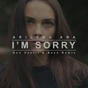 Arilena Ara I M Sorry Remix