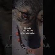 Ля Ля Ля Собака Гав Гав
