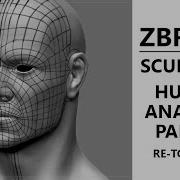 Zbrush Character Sculpting Human Anatomy Part 18 Plotting The Low Res Mesh 2