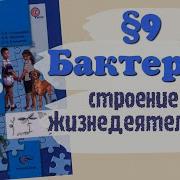 Биология 5 Класс Пономарева Параграф 9