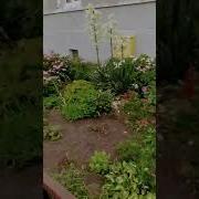 Мой Цвет Настроение Радуга