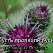 Караоке Песенка Шофёра