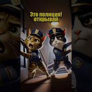 Это Полиция Откройте Дверь Звук