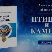 Птицы И Камень