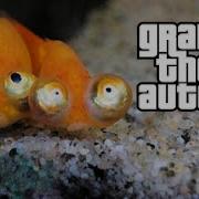 Gta V Tous Les Peyotes Le Poisson