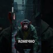Кто Такой Раздай Инет Мем