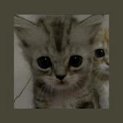7 Weeks And 3 Days Sped Up Instrumental