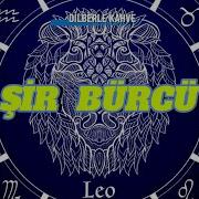 Sir Burcu