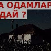 Шайх Садий Хикоялар