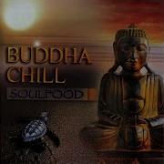 Soulfood Buddha S Dream