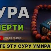 Коран Сура Йа Син 55 83 Чтец Ахмад Ан Нуфайс