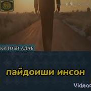 Пайдоиши Инсон Дар Батни Модар