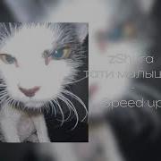 Твои Титьки Ахуеные Тати Малышка Speed Up Remix