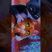 Кот В Сапогах И Киса Мягколапка