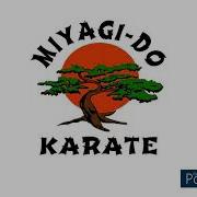 Miyagi Loop Kit