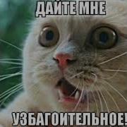 Майор Чернобаев