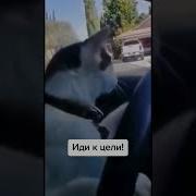 Следующая Глава В Твоей Жизни Должна Звучать Так