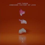 Luzi Tudor Into Me See Extended Mix