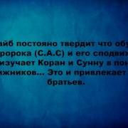 Об Абу Шуайбе Аль Майдани