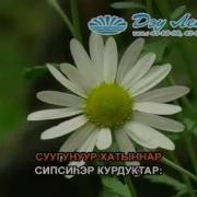 Сахалыы Караоке 5 04