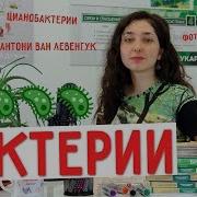 Строение И Жизни Деятельность Бактерий