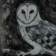 Cosmo Sheldrake Bittern Wake Up Call