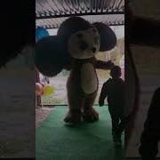 Поздравление От Чебурашки
