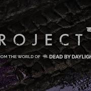 Project T