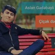 Aslan Gedebeyli Cicek Deren Asiq Mahnisi Gedebey