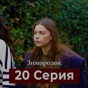 Зимородок 20 Серия