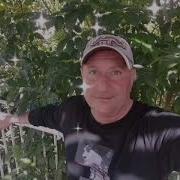 Моя Любовь Алхазов Александр