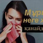 Мұрын Неге Жиі Қанайды