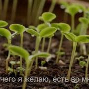 Медитация Изобилия День 6