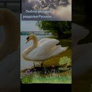 Люблю Деревню Раздолье Русское