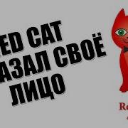 Red Cat Показал Свое Лицо Празднуем 100 000 Подписчиков Как Выглядит Red Cat И Red Kitty