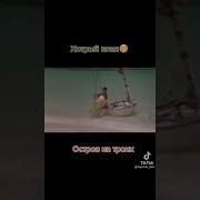 Трое На Острове Секс Ради Выживания