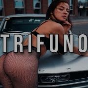 Trifuno Усиление Басов Luxr Top Club Mix 2025