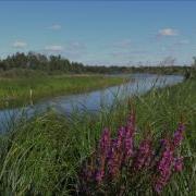 Мне К Южному Морю Нисколько Не Хочется